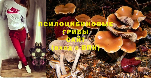 а пвп мука Вязьма
