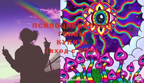Альфа ПВП Вязники