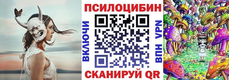 Псилоцибиновые грибы Psilocybe  Дальнереченск 