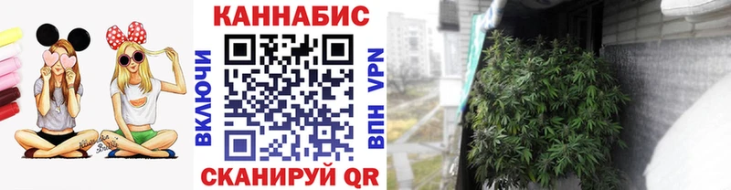 продажа наркотиков  Дальнереченск  OMG сайт  МАРИХУАНА индика 
